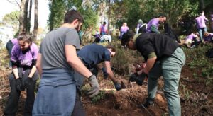 Volunteering planting trees
